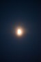 Thumbs/tn_Zeewolde 2022 040.jpg